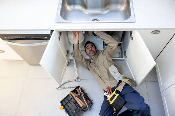 Best Commercial Plumbing Services  in Stony Point, MI